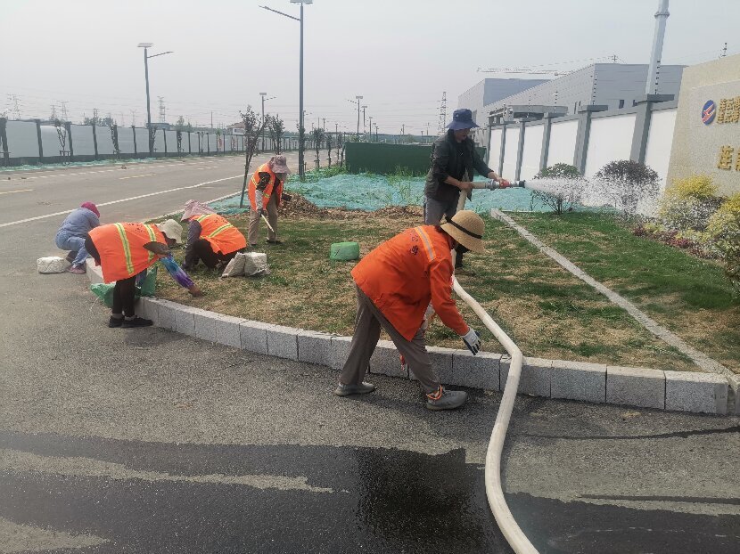 QQ圖片20250610155630